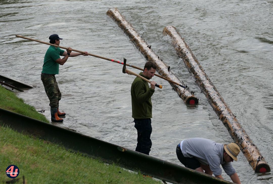 Holz wird ins Wasser gelassen